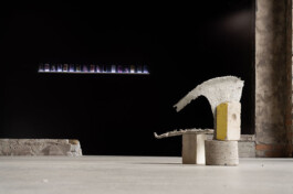 ELISABETH LISELOTTE KRAUS