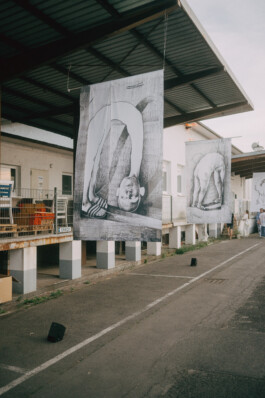 ELISABETH LISELOTTE KRAUS