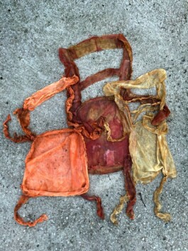 ELISABETH LISELOTTE KRAUS