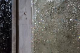 ELISABETH LISELOTTE KRAUS