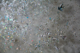 ELISABETH LISELOTTE KRAUS