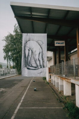 ELISABETH LISELOTTE KRAUS