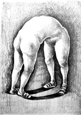 ELISABETH LISELOTTE KRAUS