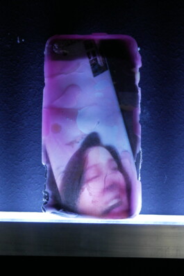 ELISABETH LISELOTTE KRAUS