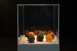 ELISABETH LISELOTTE KRAUS