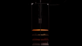 ELISABETH LISELOTTE KRAUS