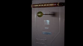 ELISABETH LISELOTTE KRAUS