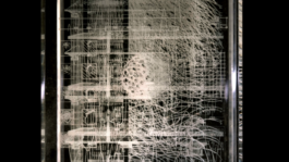 ELISABETH LISELOTTE KRAUS