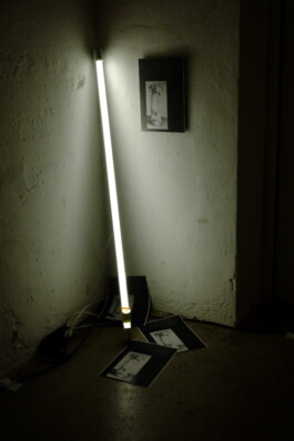 ELISABETH LISELOTTE KRAUS